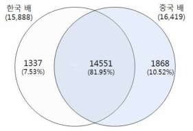 한국배 vs 중국배 otrhlogous gene clusters 분석