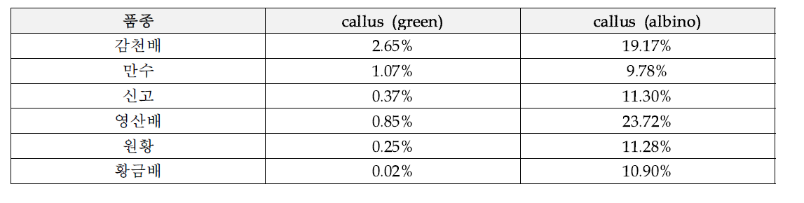 약배양 24주 후, 품종별 캘러스 생성률
