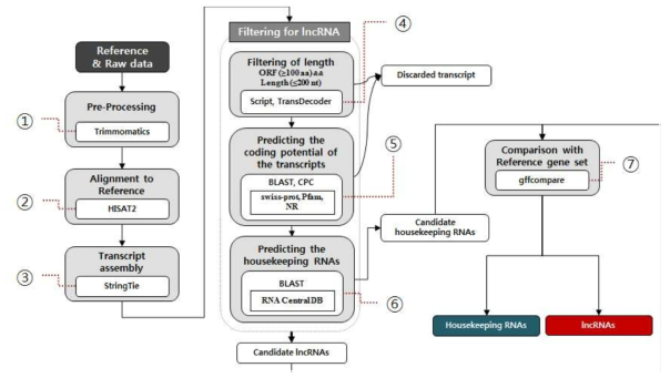 lncRNA 분석 파이프라인