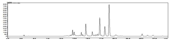 n-Hexane에서 추출된 결명자 추출물의 HPLC 분석결과