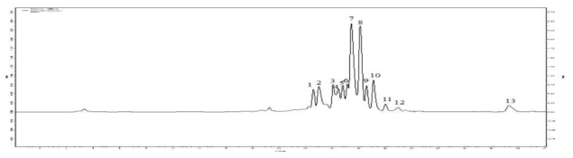 methanol 층에서 추출된 물질로부터 분리된 HPLC 결과