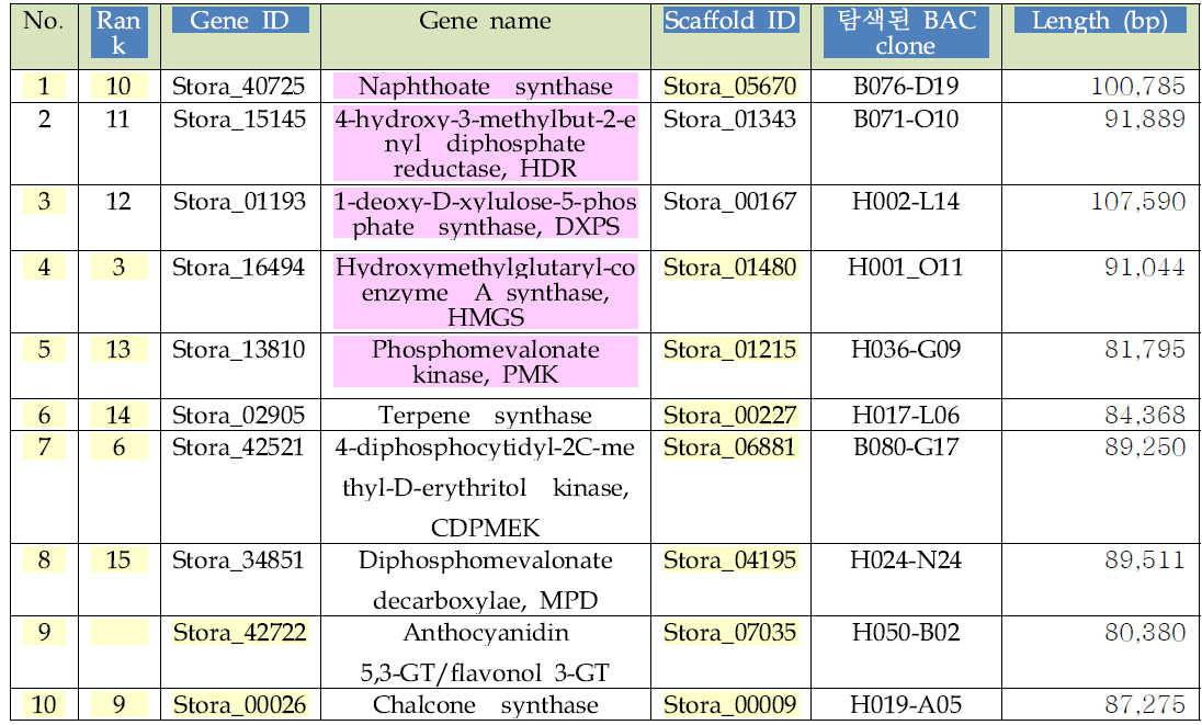 최종 확인 된 BAC clone 리스트