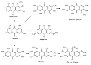 Anthraquinone의 methylation