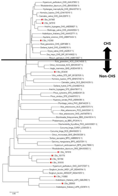 다양한 plant type III PKS와 10개의 유전자의 Phylogenetic tree 비교 (The multiple alignment of the type III PKSs was made by the Clustal W program(Thompson et al., 1994) with a BLOSUM matrix. A neighbor-joining phylogenetic tree was drawn by 1,000 bootstrap tests with a p-distance matrix, using the MEGA7 software(Kumar et al., 2016))