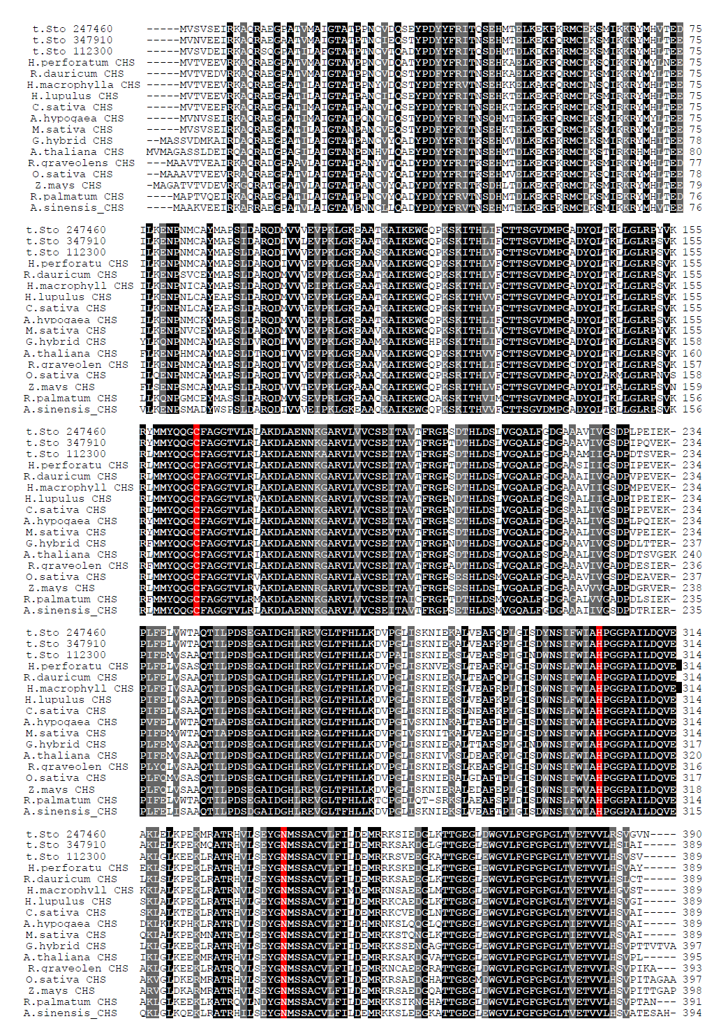 Comparison of plant CHSs and Senna tora CHSs