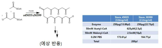 t.Sto_347910 및 t.Sto_112300 효소에 대한 예상 반응과 반응 조건