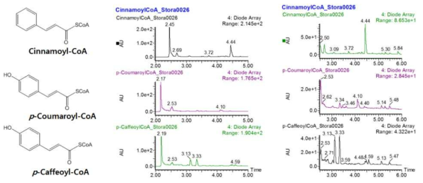 Cinnamoyl-CoA, p-Coumaroyl-CoA 및 p-Caeffeoyl-CoA와 발현된 효소 (CHS) t.Sto_247460, t.Sto_347910 및 t.Sto_112300와의 반응 결과