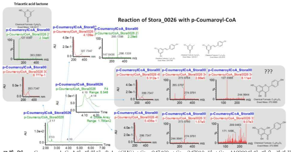 p-Coumaroyl-CoA와 발현된 효소 (CHS) t.Sto_247460, t.Sto_347910 및 t.Sto_112300와의 반응 결과물 Mass 분석 결과