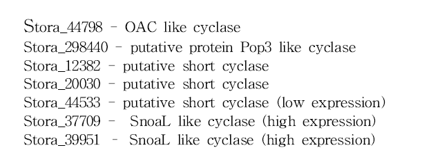 합성된 polyketide cyclase 유전자