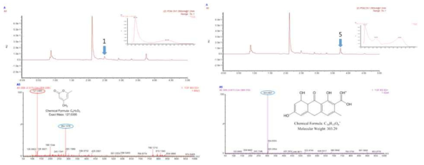 non-CHS 효소와 5개의 polyketide cyclase 결과물에 대한 Mass 분석