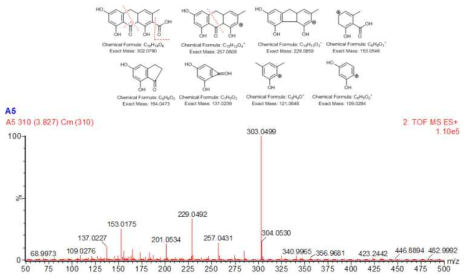 non-CHS 효소와 5개의 polyketide cyclase 결과물에 대한 Mass fragmentation pattern 분석 및 분석 결과