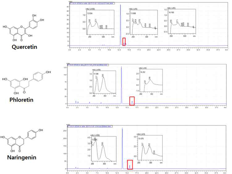 정제된 OMT (t.Sto_006920 )와 quercetin, phloretin 및 naringenin 반응 결과