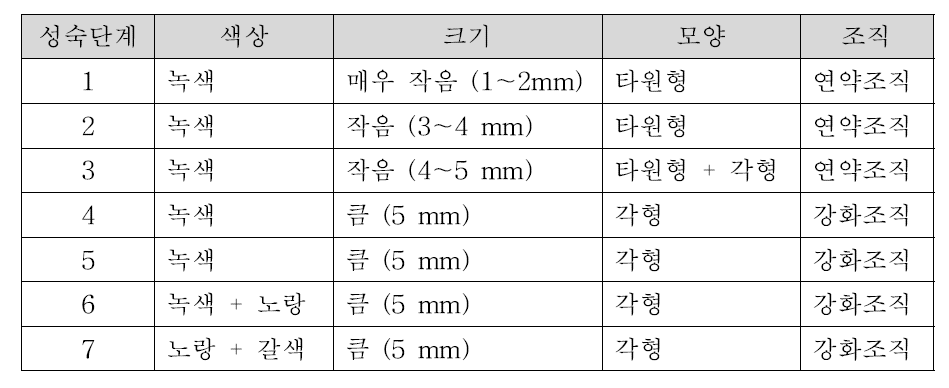 결명자 종자 성숙단계의 특징