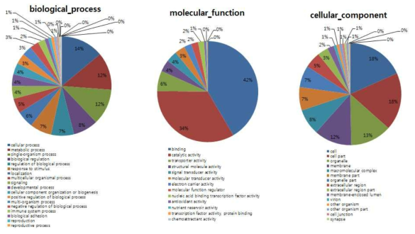 결명자 종자완숙 5～7 단계의 4,883개 유전자들의 gene ontology 분석. 단백질의 기능별로 Biological process, Molecular Function, Cellular component로 분류하였다