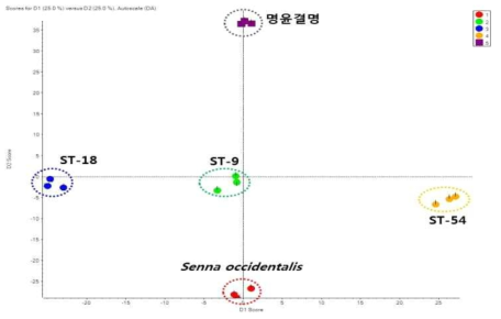 결명자 계통 및 근연종 종자의 비표적 대사체 PCA 분석 결과