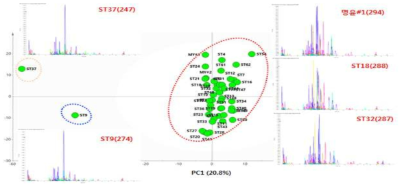 결명자 계통별 비표적 대사체 정보를 활용한 PCA 분석 결과. PCA분석결과 ST9, ST37, 나머지 계통들이 구분됨을 확인할 수 있었다