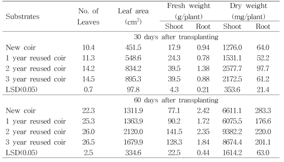 코이어 배지의 사용연수에 따른 배추의 생육비교