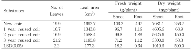 코이어 배지의 사용연수에 따른 쌈배추의 30일차 생육 비교