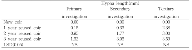 배지의 사용연수 별 배지 내 토마토 뿌리역병균(KACC 40470) 균사 생장 길이