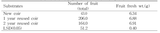 코이어 배지의 사용연수에 따른 토마토의 생육비교