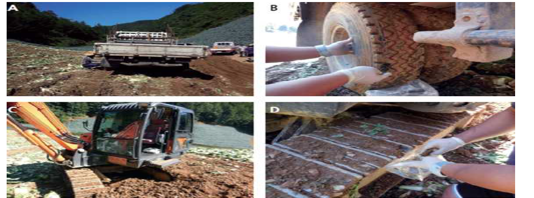 Survey of amount of soil from shoe of excavator track and tire of truck at Chinese cabbage harvest season in highland area, Korea A; Excavator, B; collecting of soil from shoe of excavator track, C; truck, D; collecting of soil from tire of truck