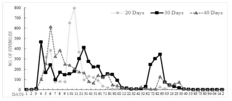 Number of hatched juveniles in 20, 30 and 40 days root extract