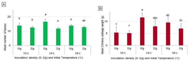 Mean number of leaves (A) and weight (B) of potted Chinese cabbage under an increasing temperature regime after Heterodera schachtii inoculation with 2 J2/g soil. Bars represent standard deviations. The same lowercase letters on the bars indicate that there was no significant difference among means