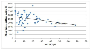 Relationship between the mean weight of Chinese cabbage and the number of cyst from Taebaek. The cyst population were counted from extracting the roots of the collected Chinese cabbage