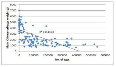 Relationship between the mean weight of Chinese cabbage and the number of eggs from jungsun. The eggs were counted from extracting the roots of the collected Chinese cabbage