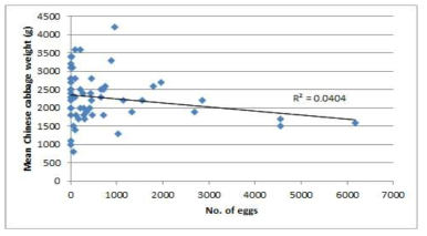 Relationship between the mean weight of Chinese cabbage and the number of eggs from Teabeak. The eggs were counted from extracting the roots of the collected Chinese cabbage