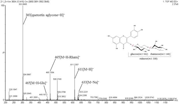 LC-MASS spectra (positive ion mode) of rutin isolated in the mulberry leaf powder