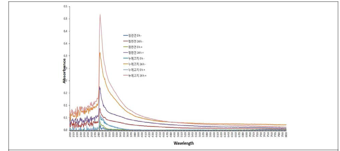 UV spectorphotometer를 이용한 단백질 특성 확인