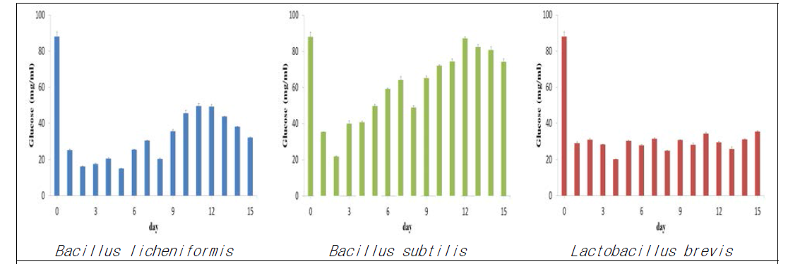 동충하초 발효 균주별 발효기간에 따른 환원당의 변화