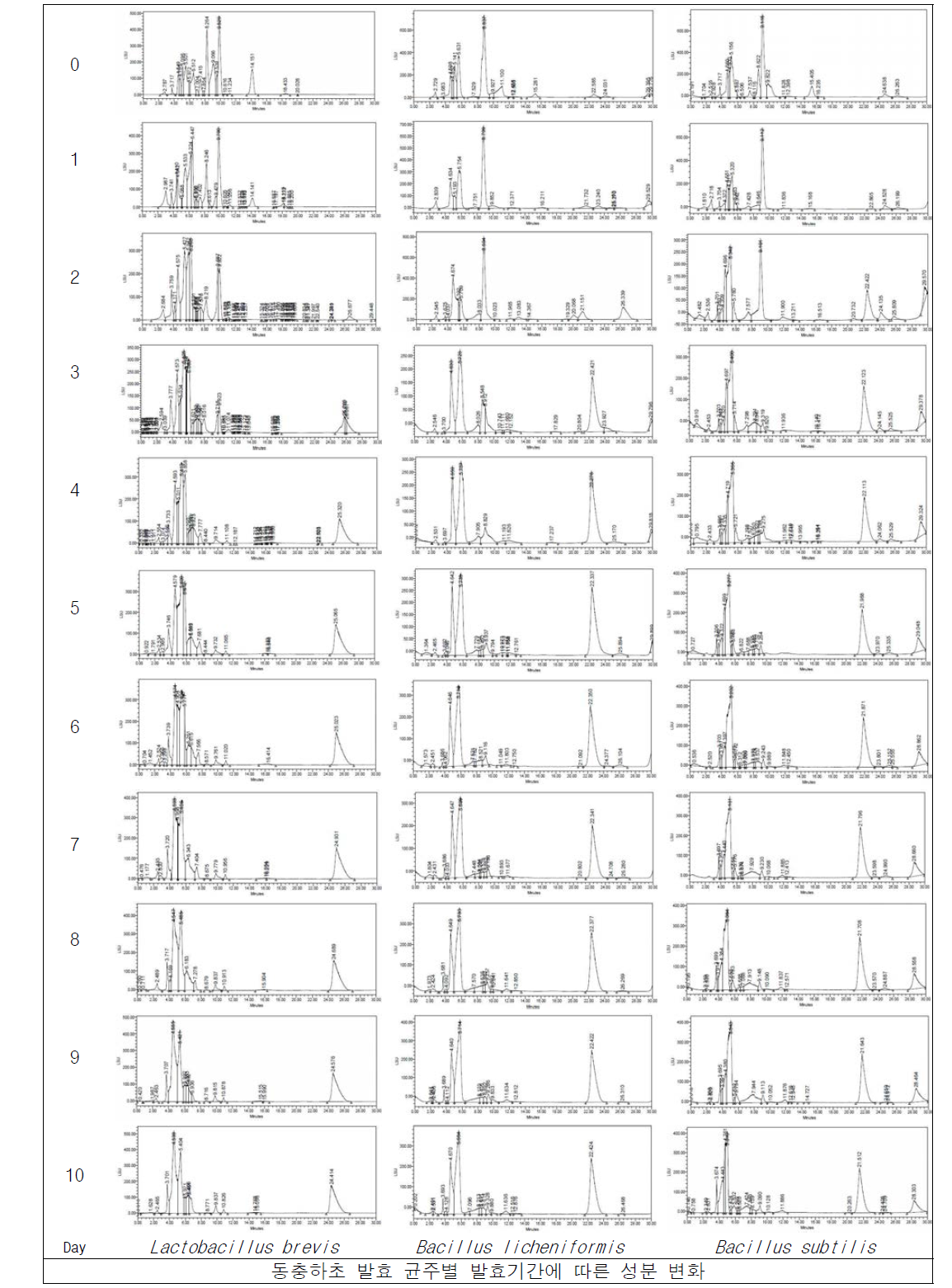 유용균주별 동충하초 발효에 따른 성분 변화관찰