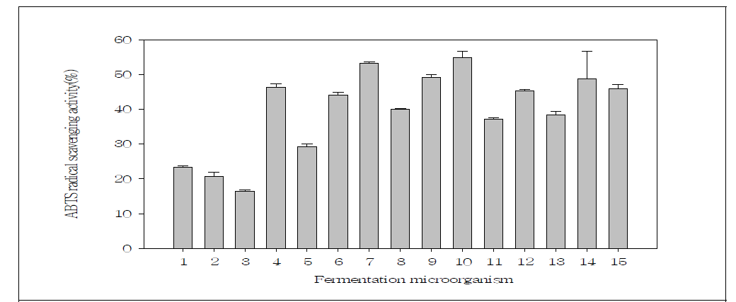 발효균주에 따른 항산화 활성 변화