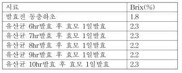 효모·유산균이용 누에동충하초 발효 후 당도 변화