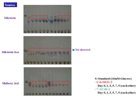 TLC chromatogram following the incubation time of isolated strains
