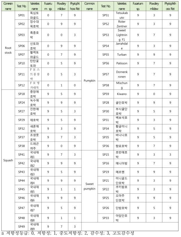 유기농 적합 호박 및 대목 품종 선발