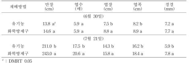 유기농 수박 재배가 생육에 미치는 영향 (정식 : 2015. 6. 26.)