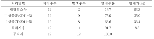 토양 처리 방법에 따른 수박 MNSV 발병현황