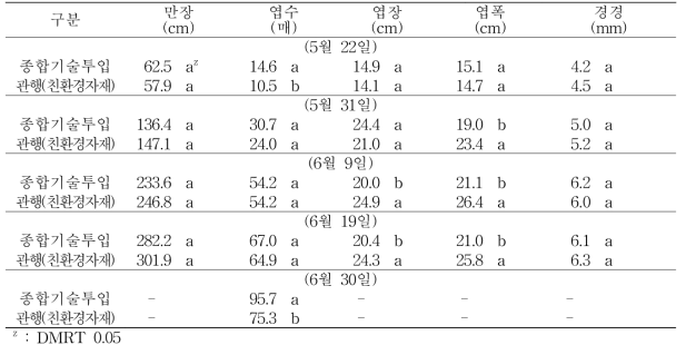 종합기술 투입에 따른 수박 생육에 미치는 영향 (정식 2017. 4. 28)