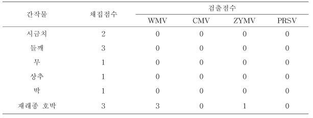 참외하우스 주변 사이작물에서 바이러스 검출정도(2017)