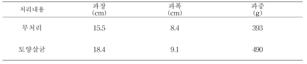 처리간 과일특성