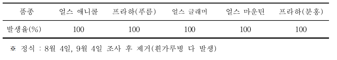 멜론 흰가루병 발생 조사 (8월 25일)