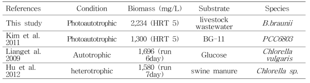 타 연구와 biomass 생산량 비교