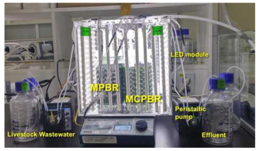 멤브레인 미세조류 광반응조 시스템
