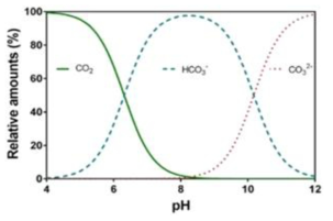 pH에 따른 무기탄소의 종 변화