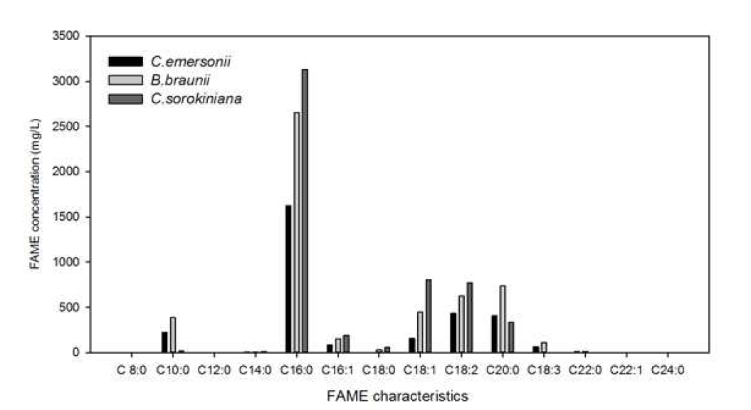 Direct transesterification of lipid contents from freeze-dried biomass and its FAME characteristics