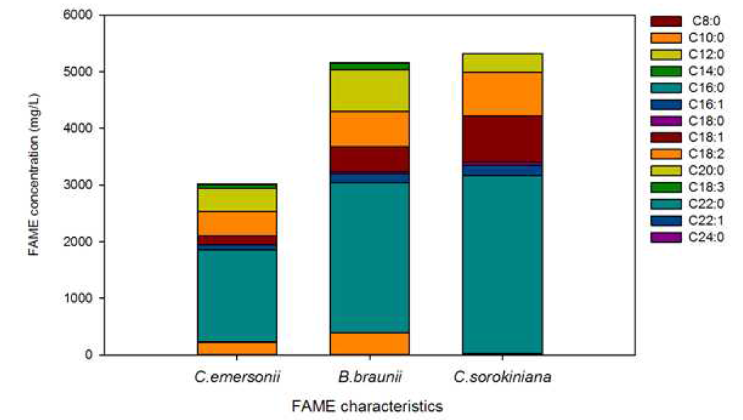 Direct transesterification of lipid contents from freeze-dried biomass and its FAME characteristics