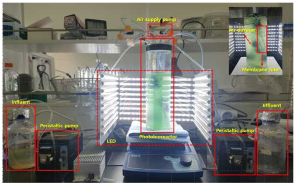 실험실규모 Membrane photobioreactor (MPBR) 시스템